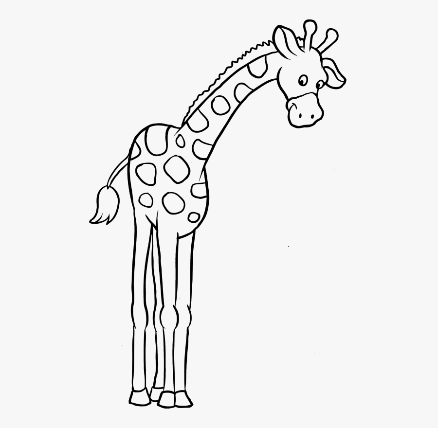 Tall And Short Coloring, Transparent Clipart