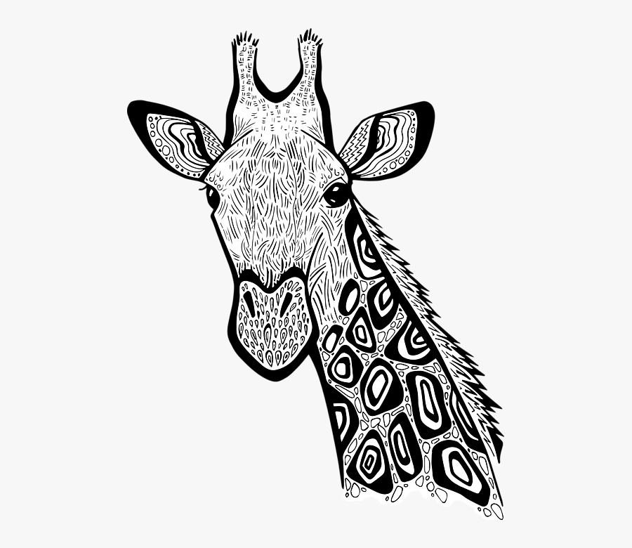 Giraffe Head Giraffe Zentangle, Transparent Clipart