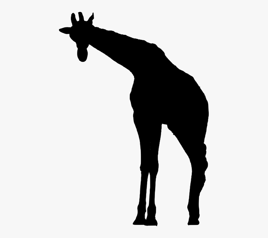 Giraffe African Animal Silhouette, Transparent Clipart