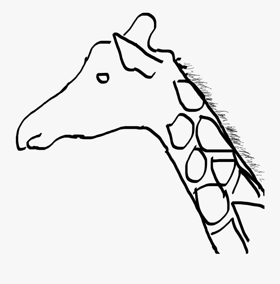 #giraffe - Giraffe, Transparent Clipart