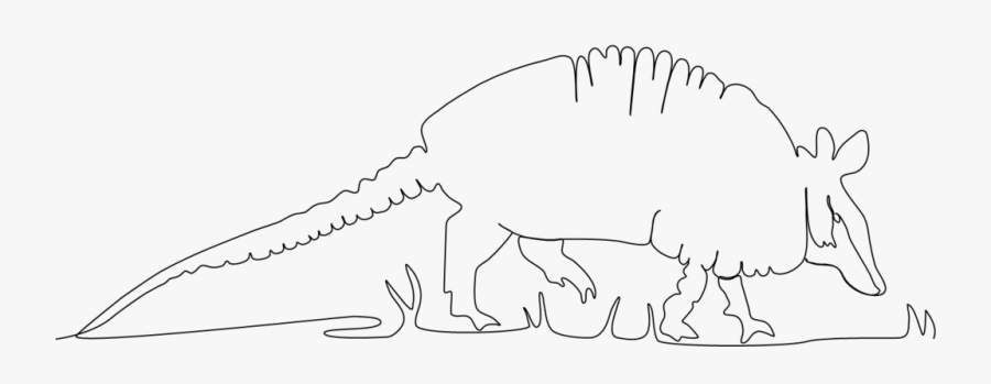 Armadillo In Continuous Line - Line Art, Transparent Clipart