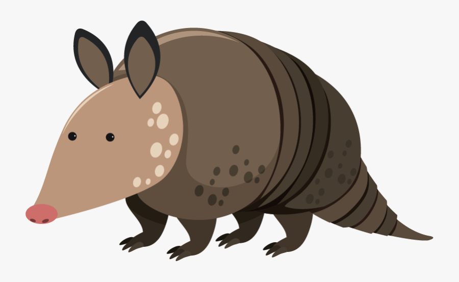 Clipart Armadillo, Transparent Clipart
