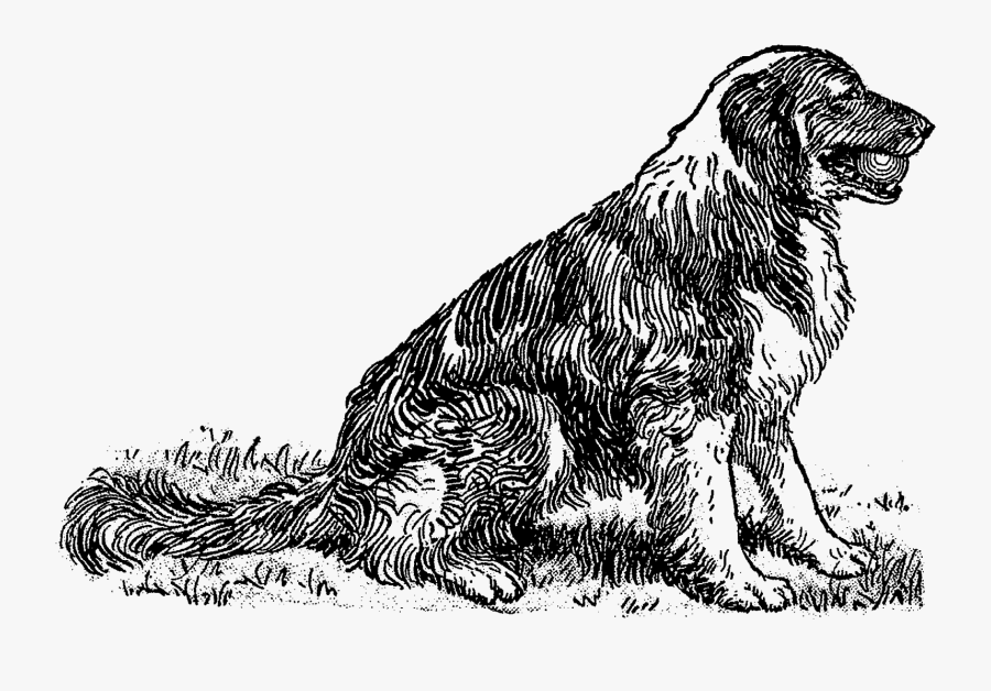 Illustration, Transparent Clipart