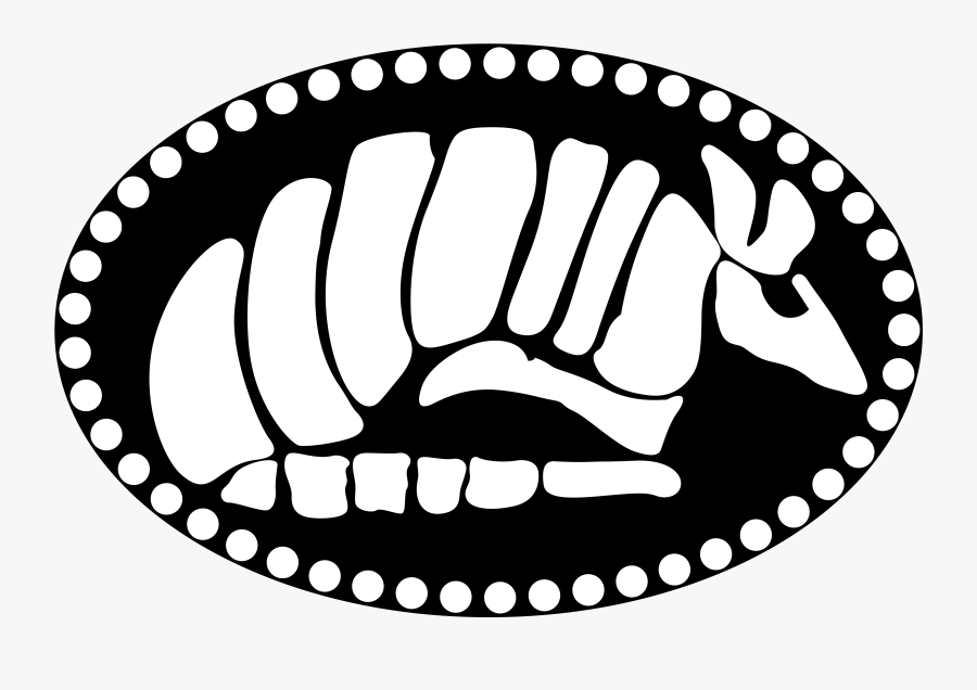 Welcome To Blind Armadillo Guitars - تردد كايرو دراما, Transparent Clipart