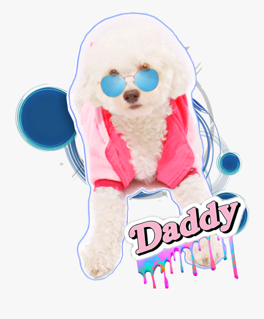 #dogsofinstagram #dog #cutedog #perrito #daddy #ulzzang, Transparent Clipart