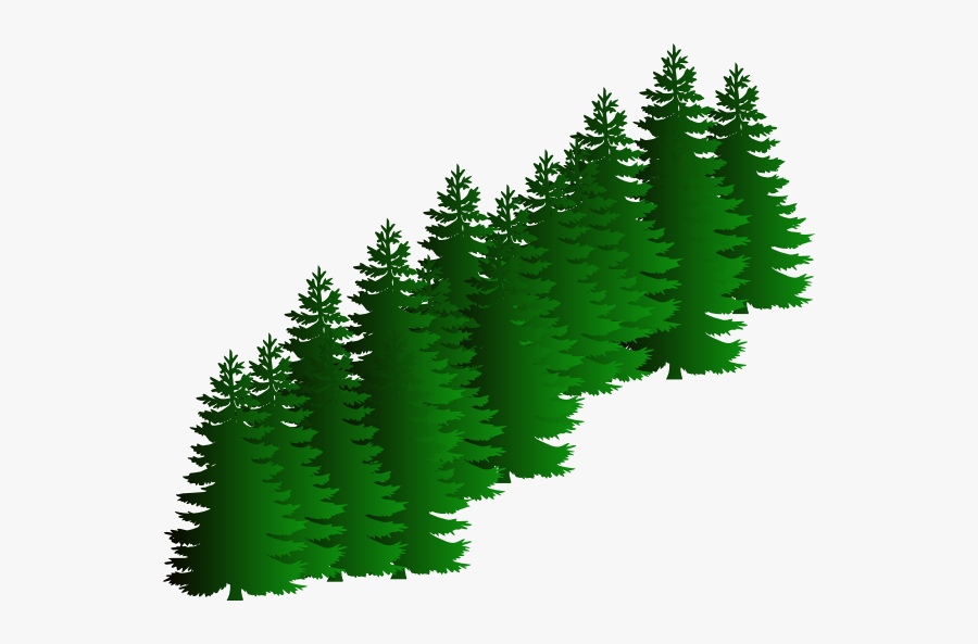 Black And White Tree Clipart, Transparent Clipart