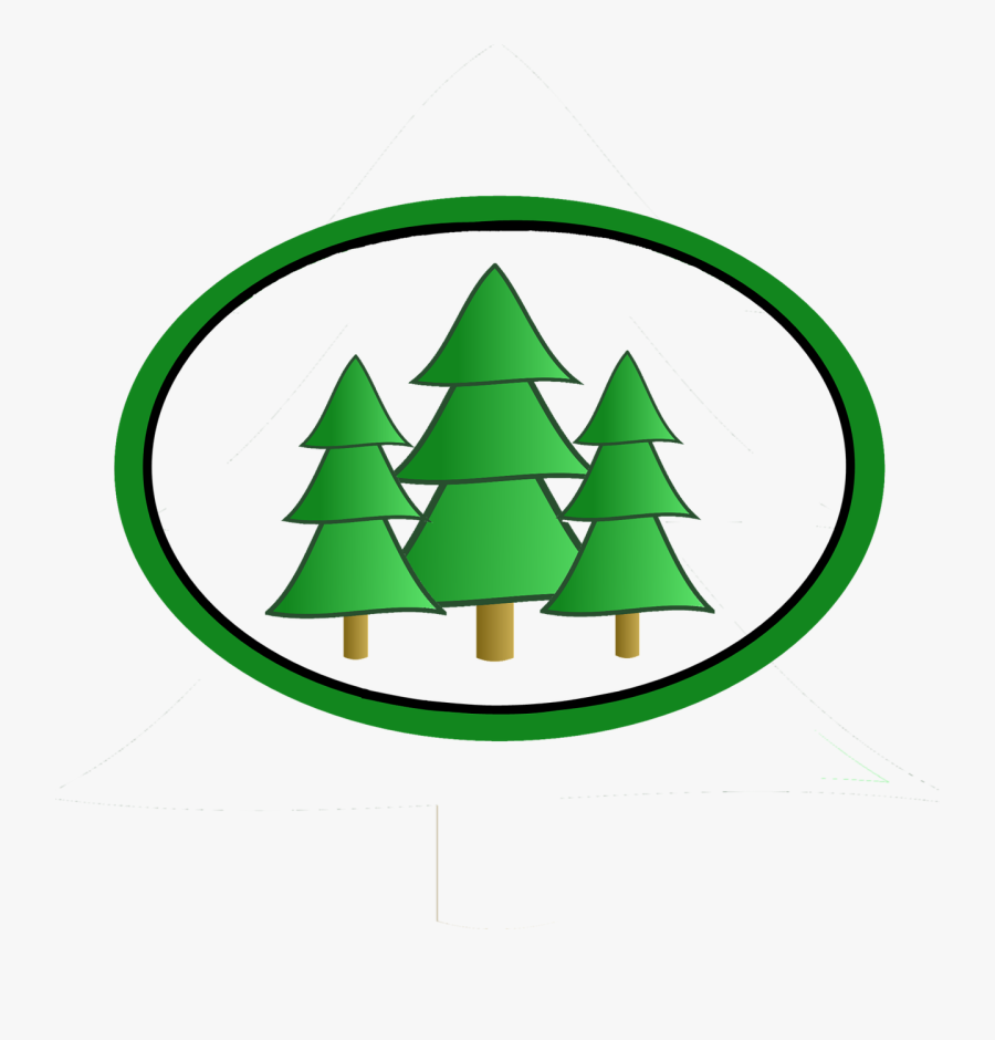 Trees Evergreen Conifer - Fir Tree Clip Art, Transparent Clipart