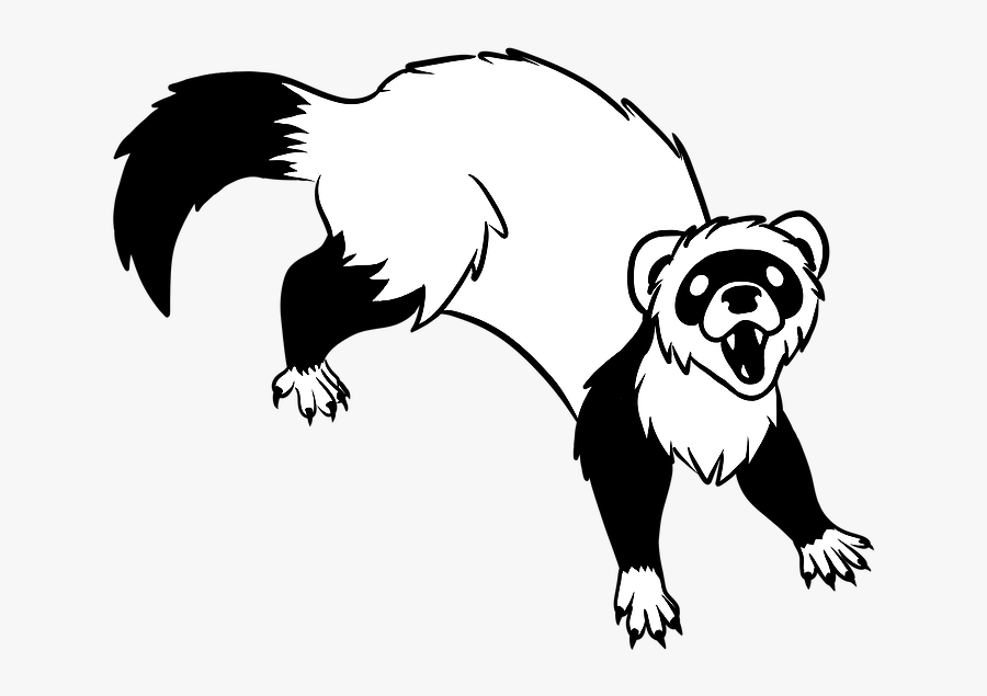 Ferret Logo, Transparent Clipart