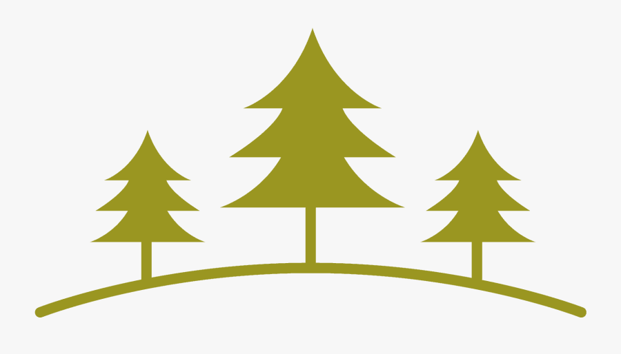 Transparent Evergreen Clipart - Christmas Tree, Transparent Clipart