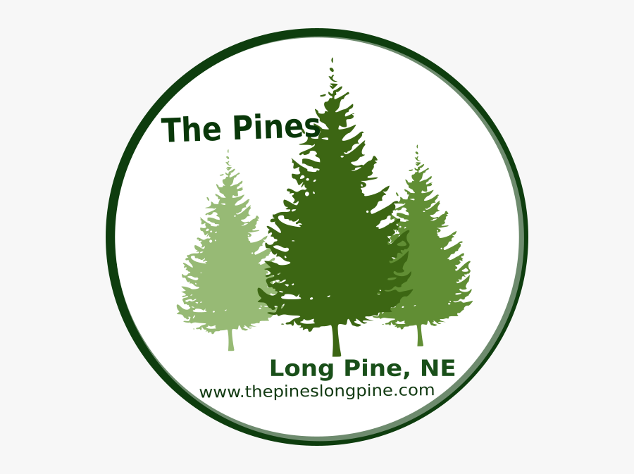 Clipart Pine Trees Black And White, Transparent Clipart