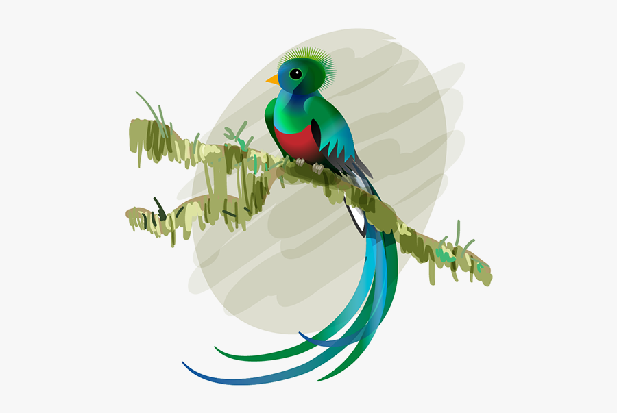 El Quetzal Png, Transparent Clipart