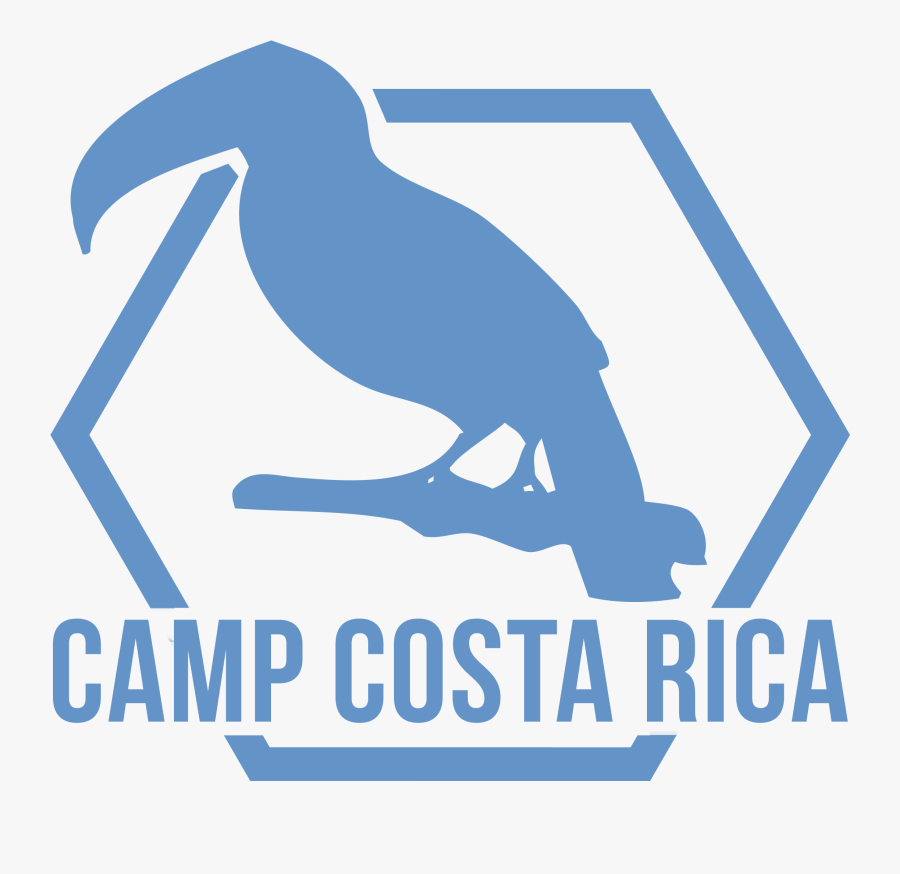 Camps International Costa Rica, Transparent Clipart