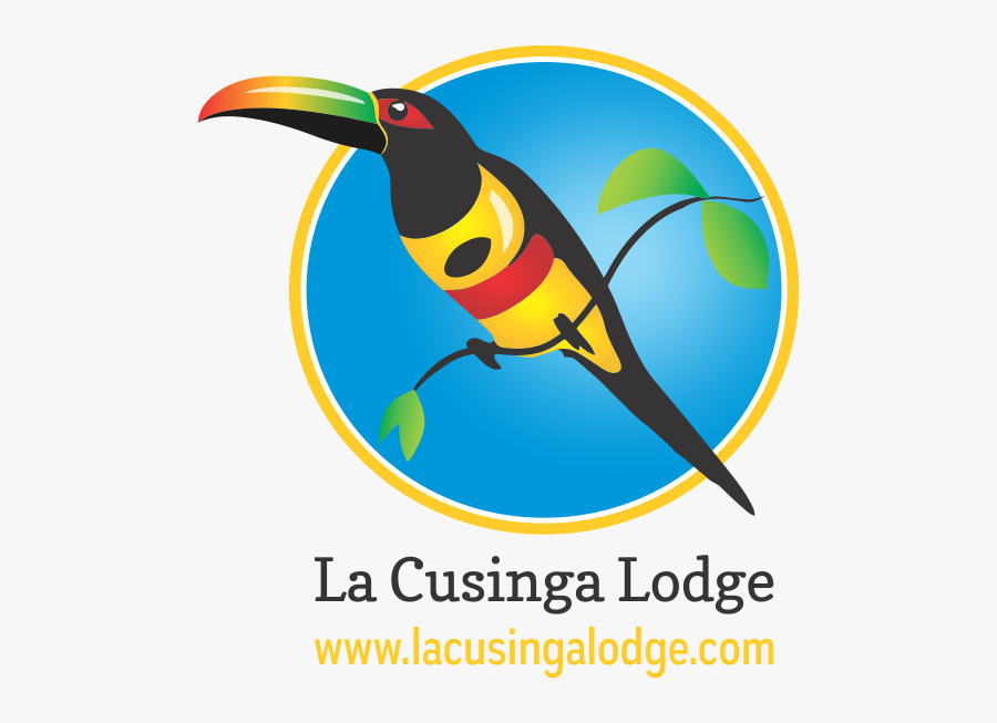 Rainforest Clipart Rainforest Toucan - La Cusinga Lodge Logo, Transparent Clipart
