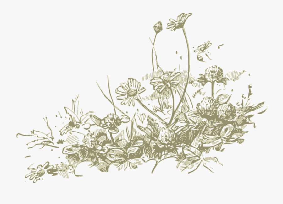 Thumb Image - Wildflower Clip Art, Transparent Clipart