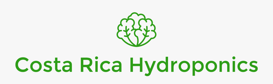 Costa Rica Hydroponics-logo - Lettuce, Transparent Clipart