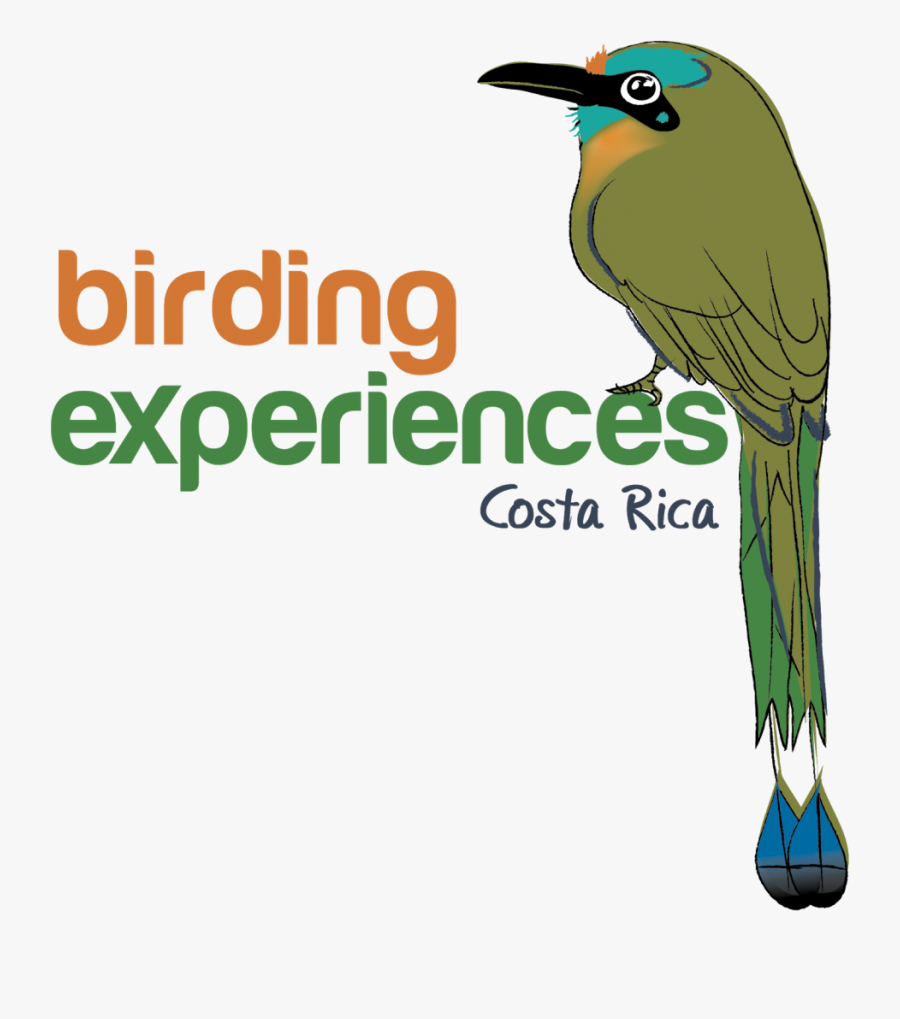 Example Stay Awake Album Cover, Transparent Clipart