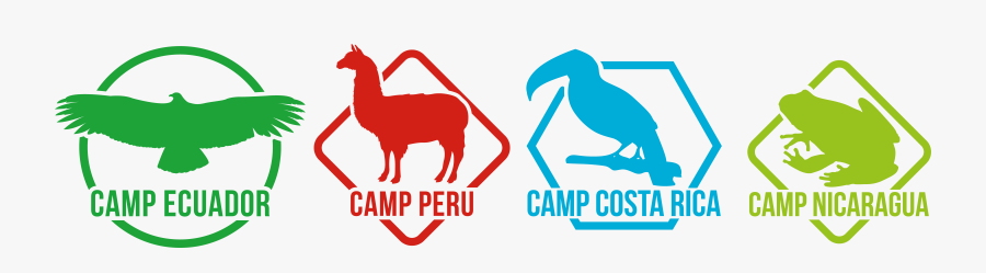 Camps International, Transparent Clipart