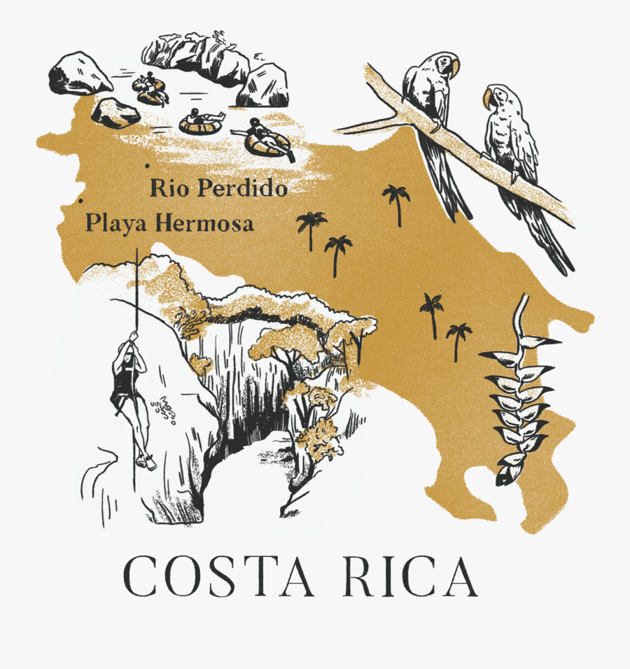 Illustration, Transparent Clipart