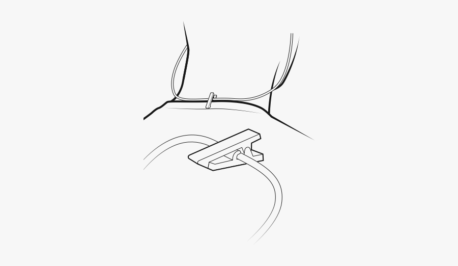 Sketch, Transparent Clipart