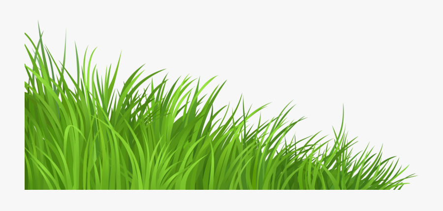 Lawn Clip Art - Clipart Grass, Transparent Clipart