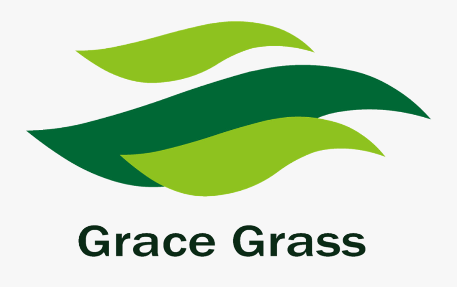 35mm 16800 Natural Looking Artificial Turf Grass For, Transparent Clipart