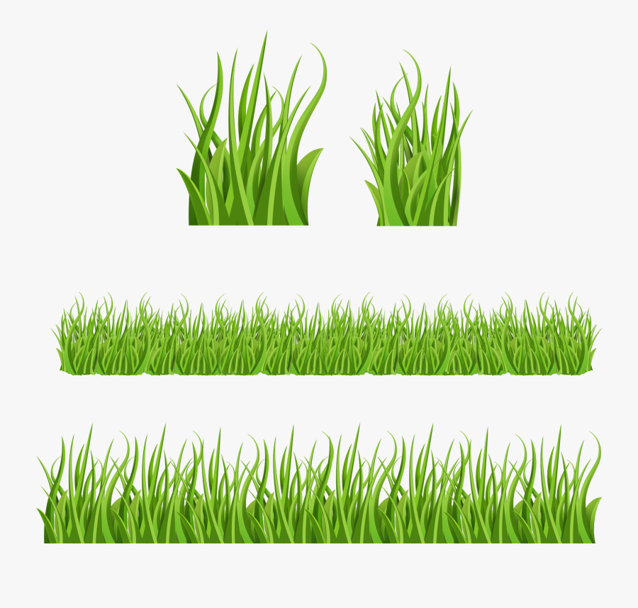 Gras Zeichentrick, Transparent Clipart