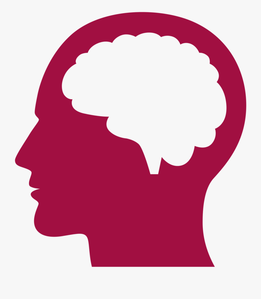Human Brain Transparent Png, Transparent Clipart