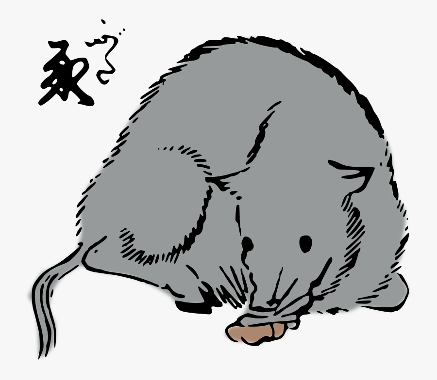 Agu-pig Clip Art Download - Clip Art, Transparent Clipart