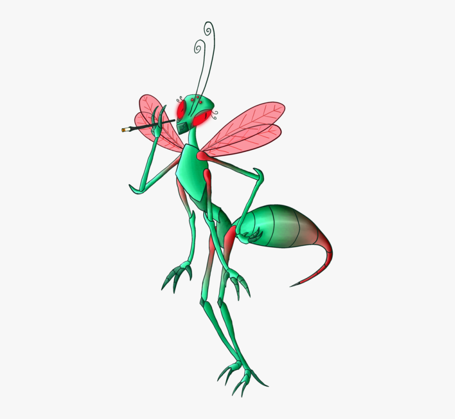 Firefly Insect Cliparts - Net-winged Insects, Transparent Clipart