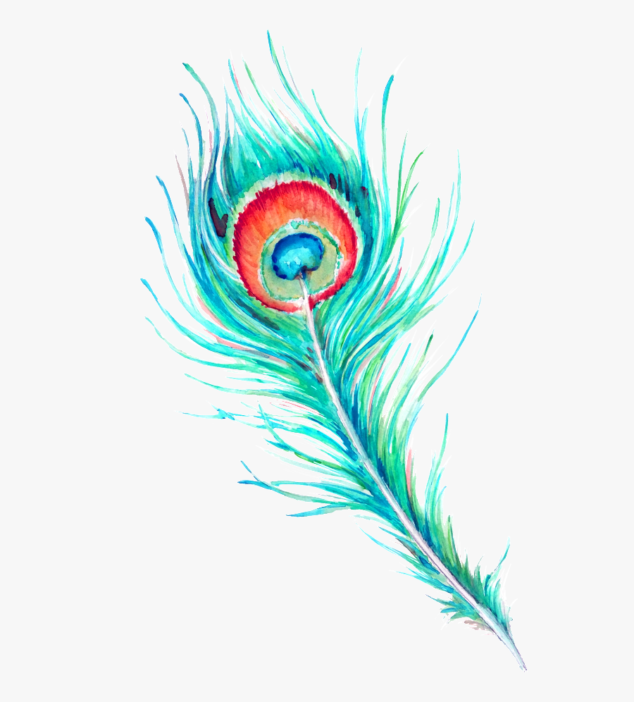 Peacock Feather Hd Beautiful Png - Peacock Feather Hd Download, Transparent Clipart