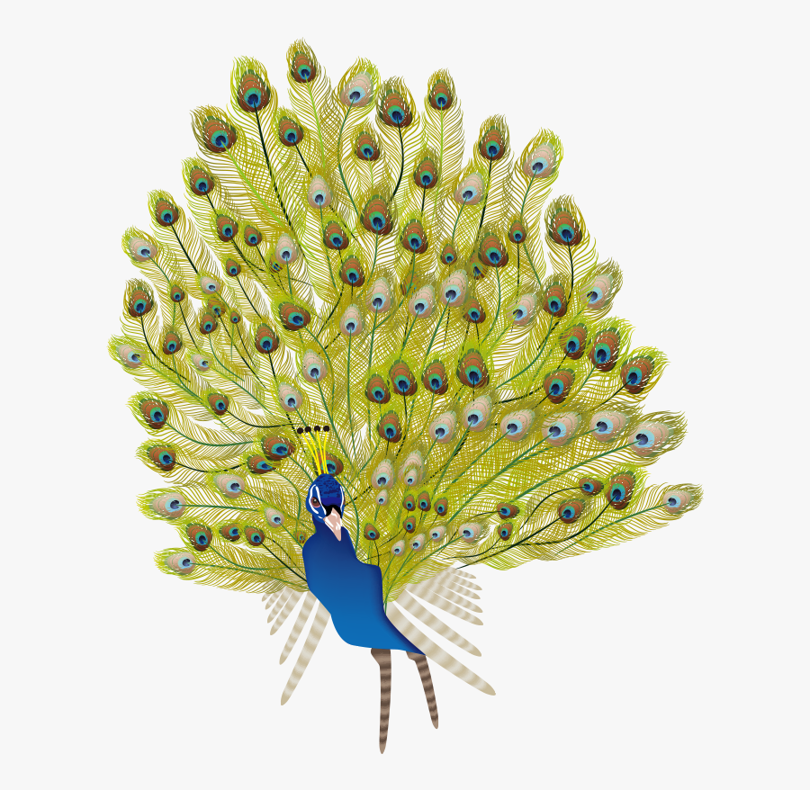 Peafowl, Transparent Clipart
