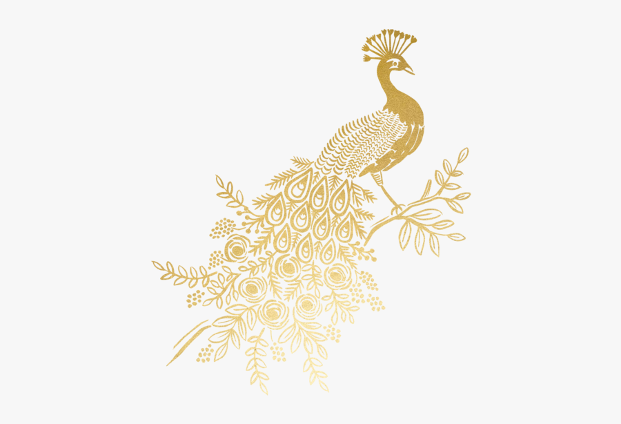 Golden Peacock Feather Png, Transparent Clipart
