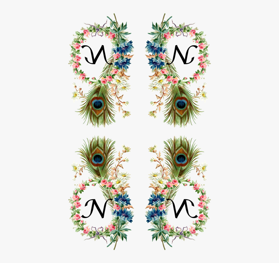 Peacock Feathers Photo Frame, Transparent Clipart