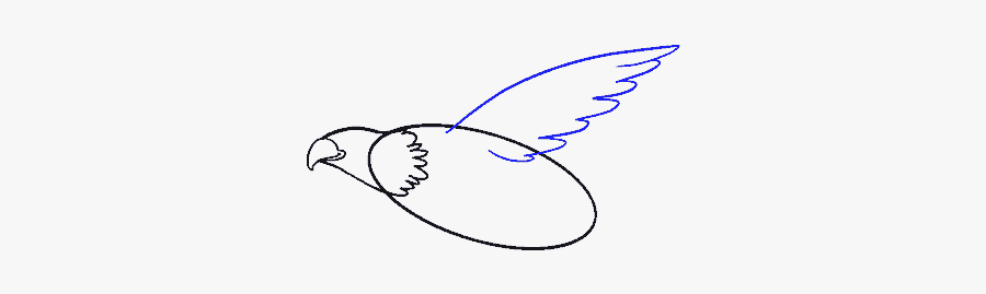 How To Draw Eagle - Line Art, Transparent Clipart