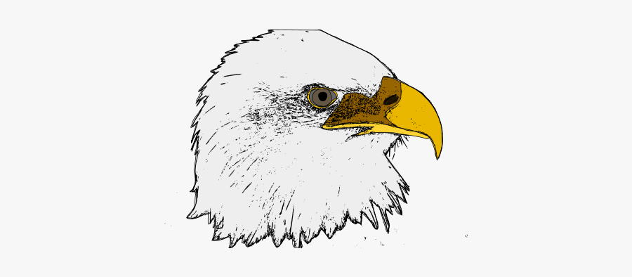Eagle - Bald Eagle, Transparent Clipart