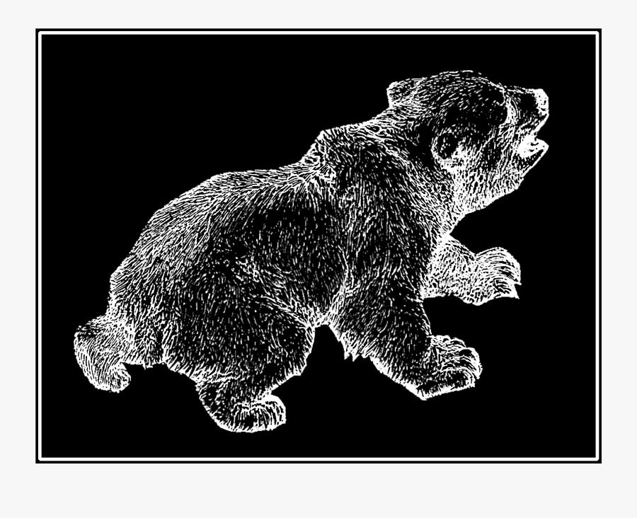 Kodiak Bear, Transparent Clipart