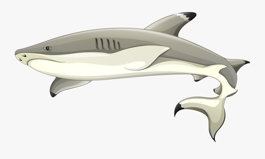 Thresher Shark Transparent Background, Transparent Clipart