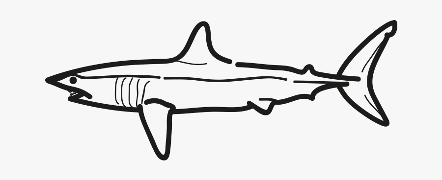 Marrajo Isurus Oxyrinchus Frioantartic - Mako Shark Clip Art, Transparent Clipart