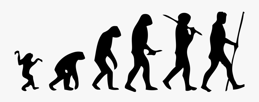 View The New School Counselor Strategies For Universal - Évolution De L Homme, Transparent Clipart