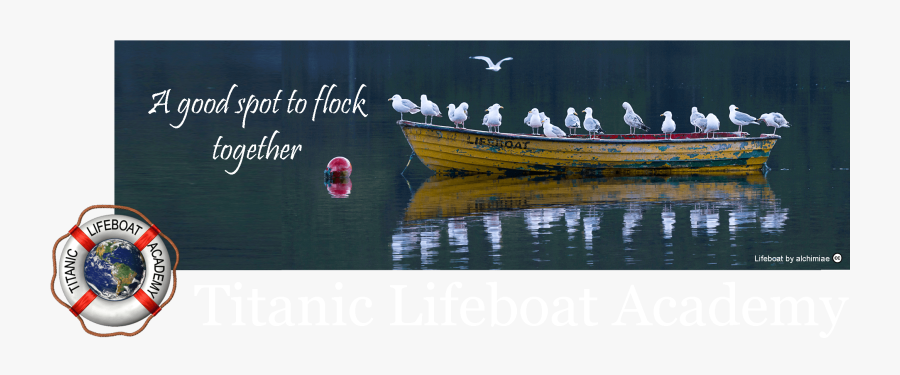 Lifeboat Gull Masthead With Logo 6 A Compressed - Planet Earth, Transparent Clipart
