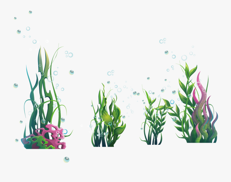 Algae Seaweed Ocean Plantas Algas Marinas Png - Plantas De Mar Png, Transparent Clipart