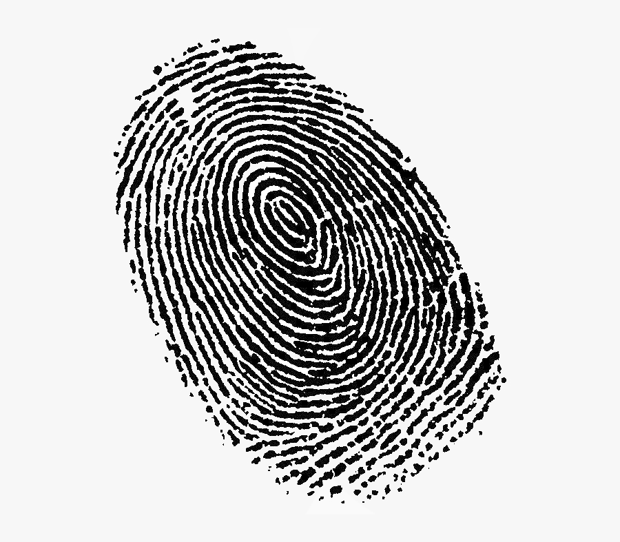 Fingerprint Transparent Image - Fingerprint Png, Transparent Clipart