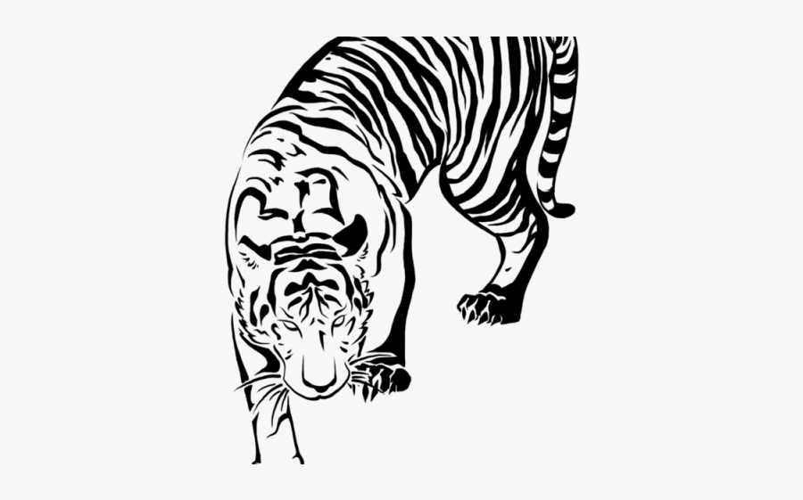 Tiger Drawing For Tattoo, Transparent Clipart
