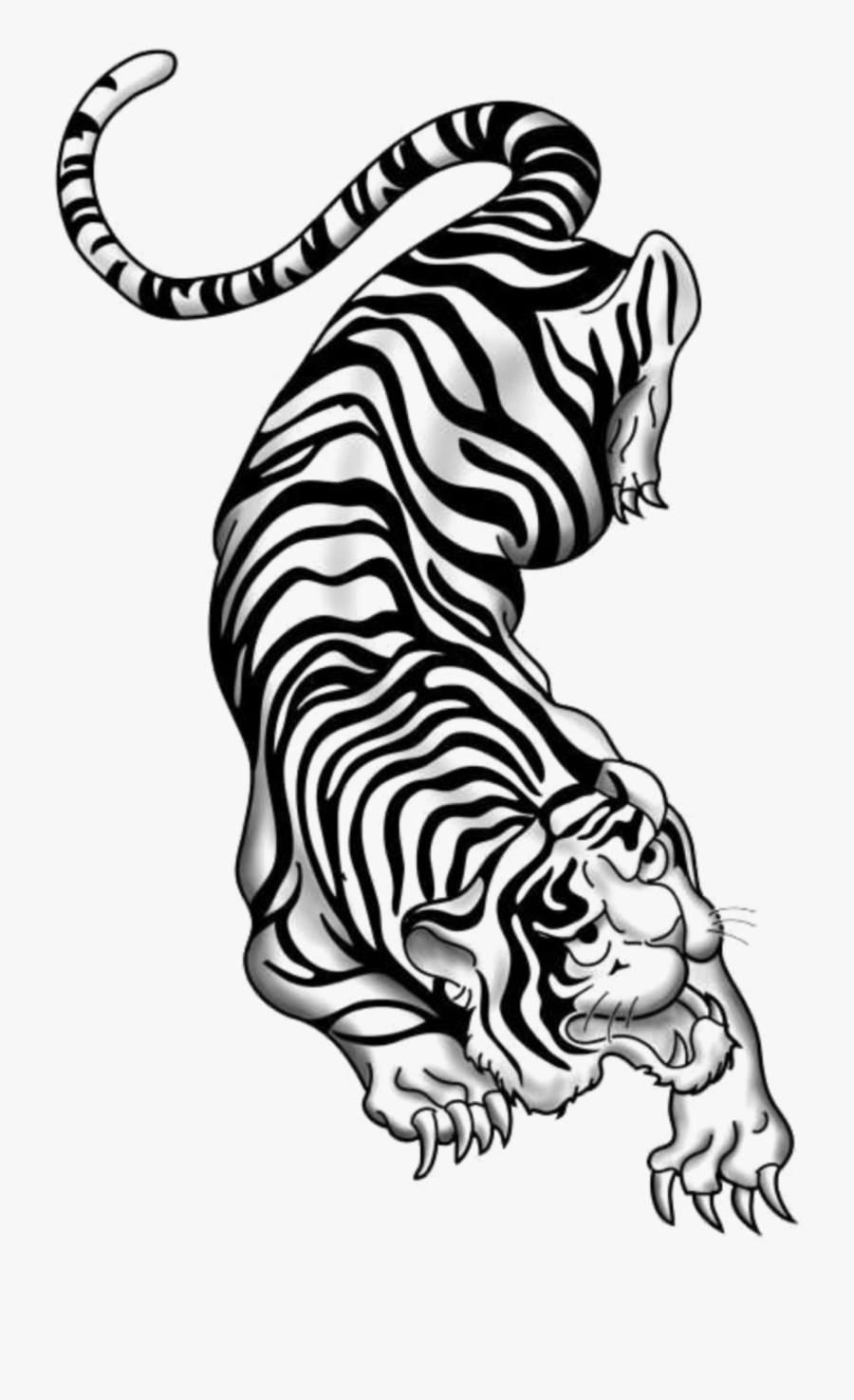 #mq #white #tiger #tigers #animal #animals - Tiger Tattoo Png Hd, Transparent Clipart