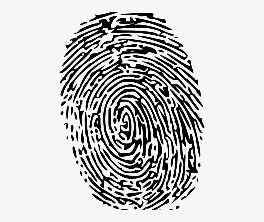Fingerprints And Touchscreens - Transparent Background Fingerprint Transparent Png, Transparent Clipart