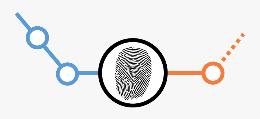 Circle, Transparent Clipart