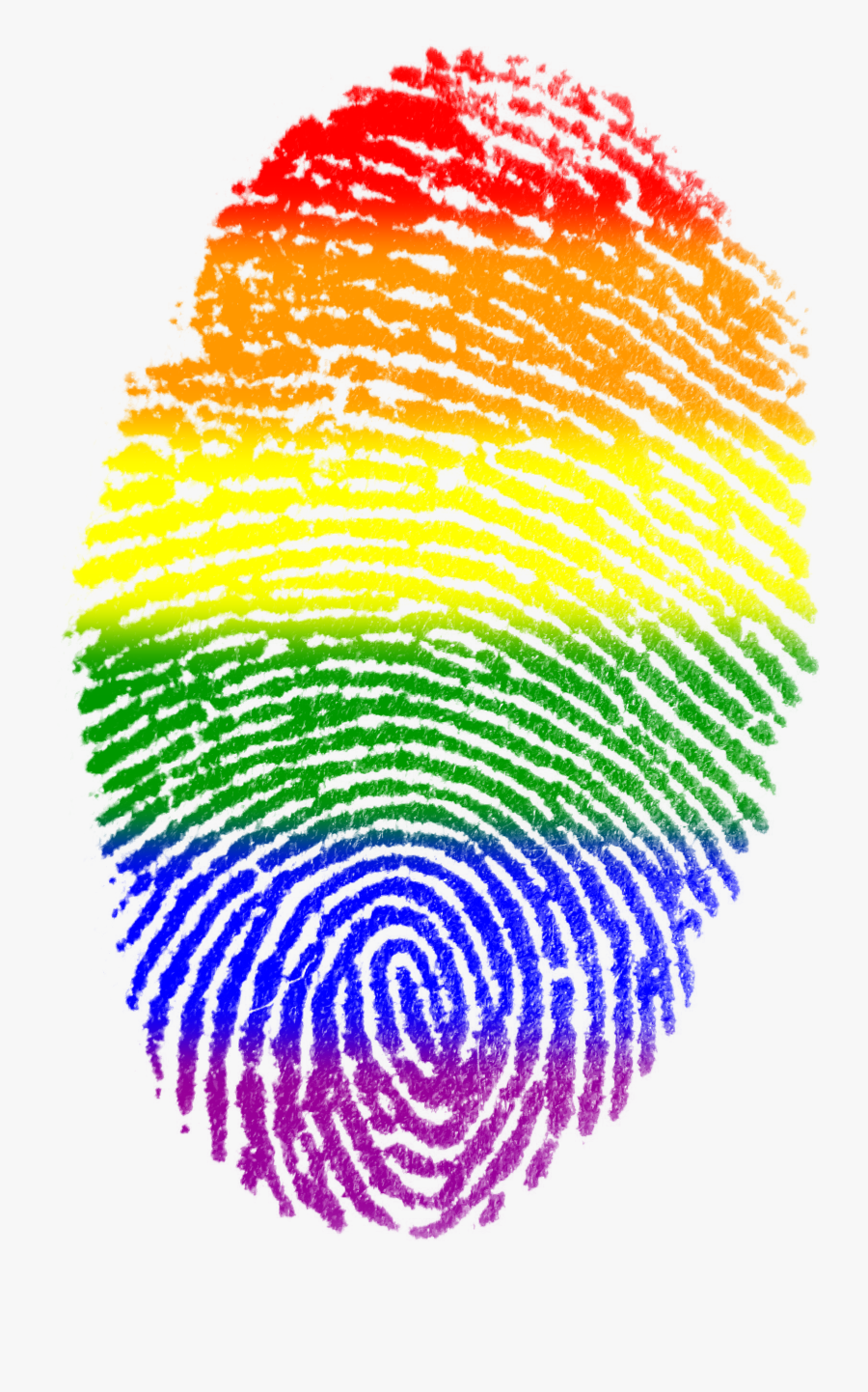 Fingerprint Gay Flag Symbol Finger - Rainbow Gay Pride, Transparent Clipart