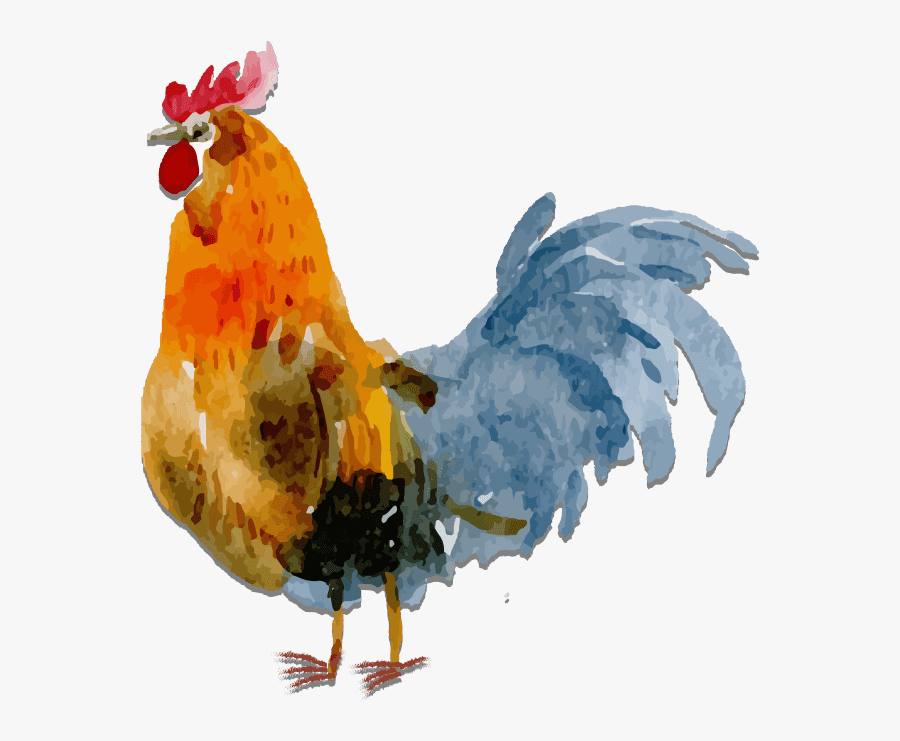 Watercolor Chicken Transparent Background, Transparent Clipart