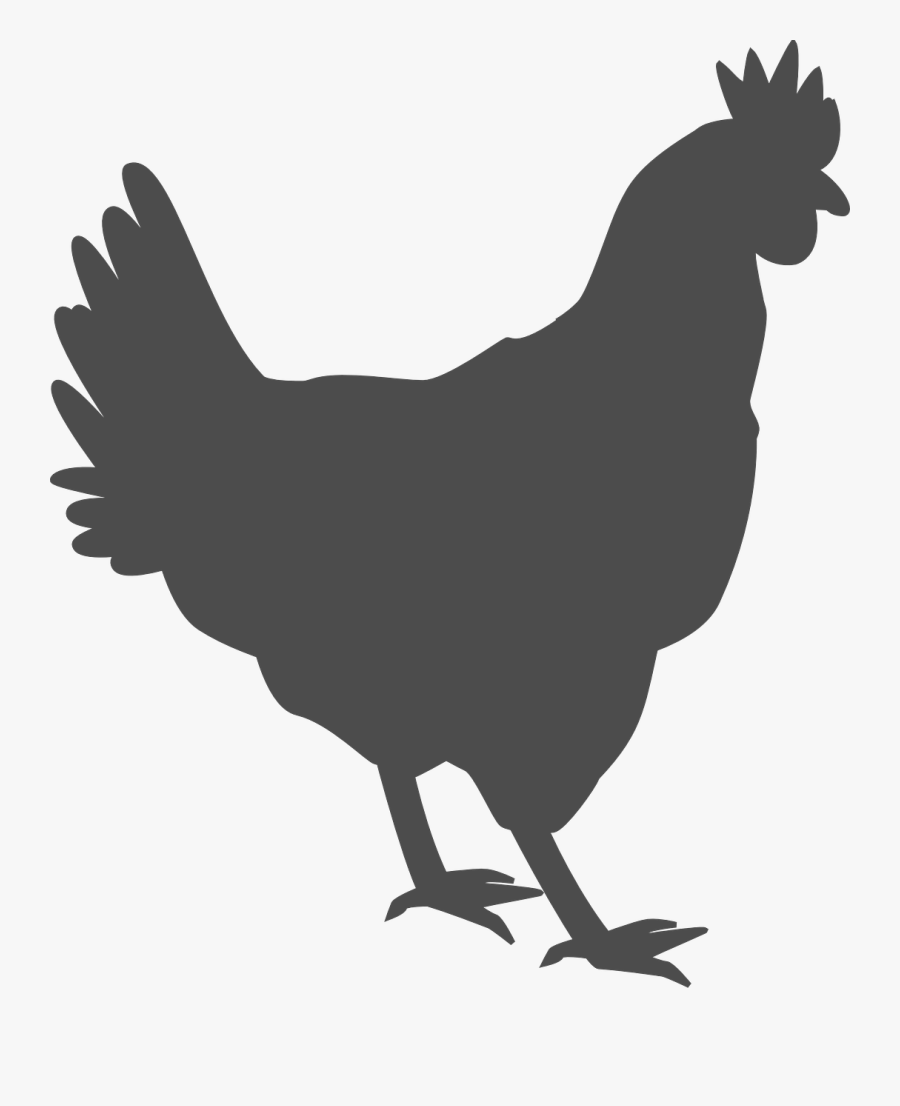 Hen Chicken Poultry Fowl Farm Transparent Image - Black Chicken Outline, Transparent Clipart