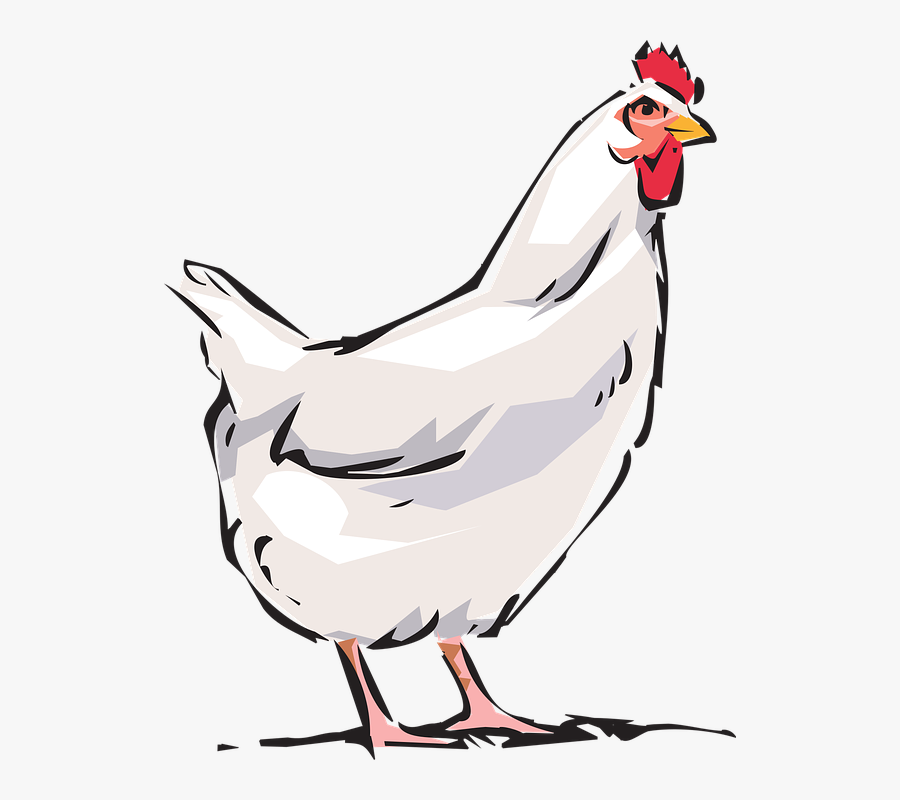 Transparent Sunrise Rooster Clipart - Cock Animal Png, Transparent Clipart